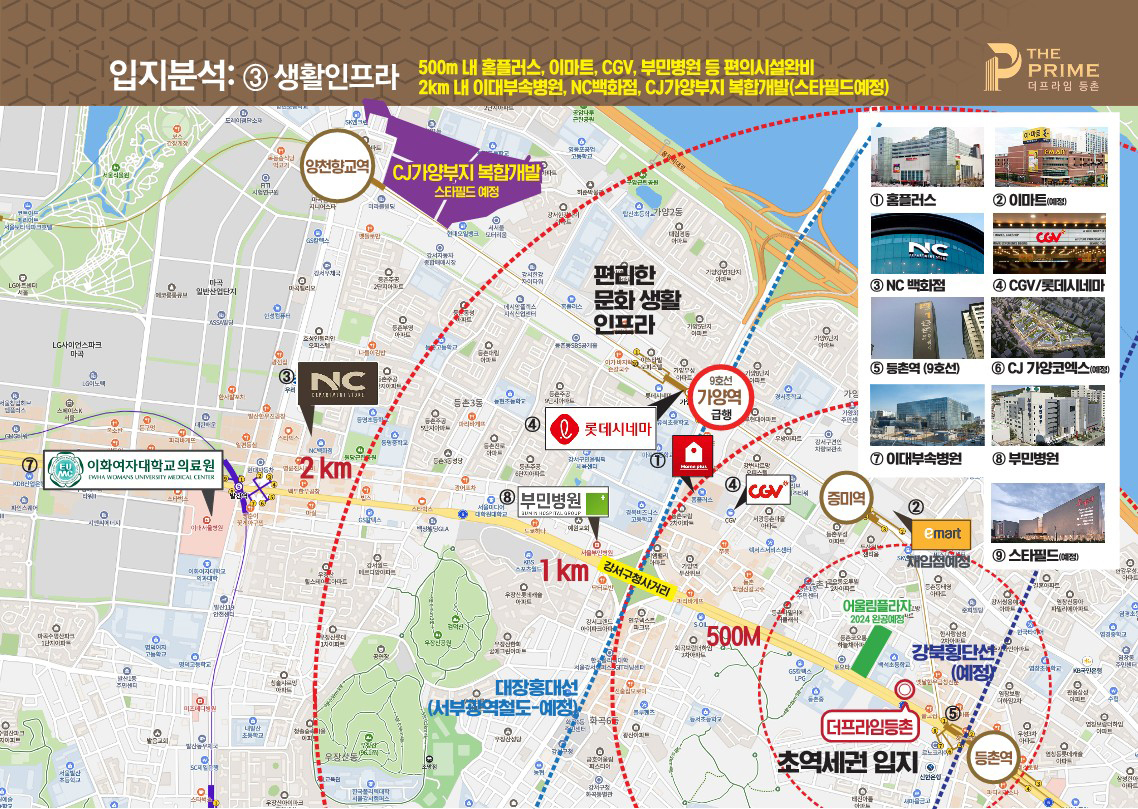 이미지명