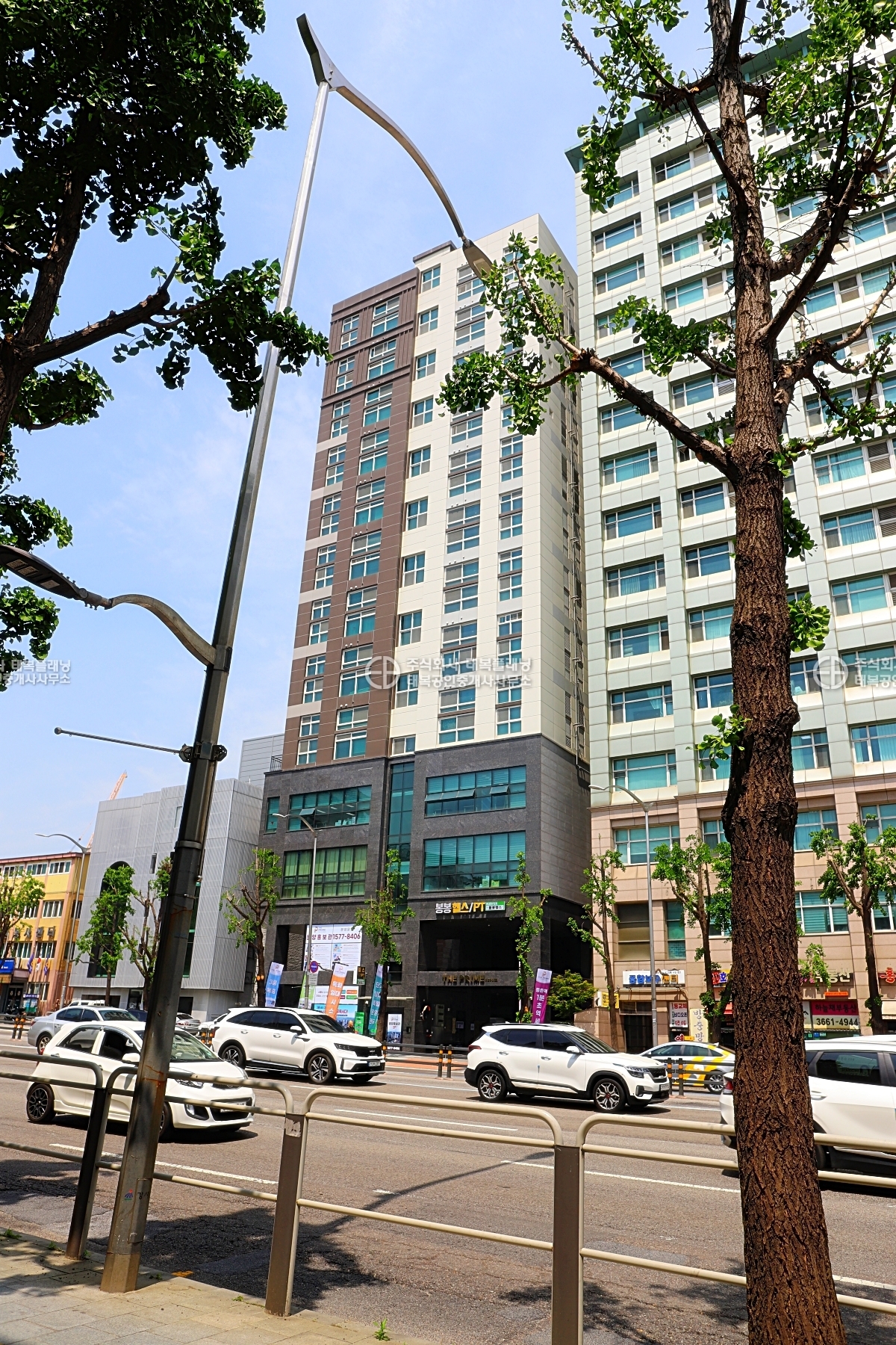 이미지명